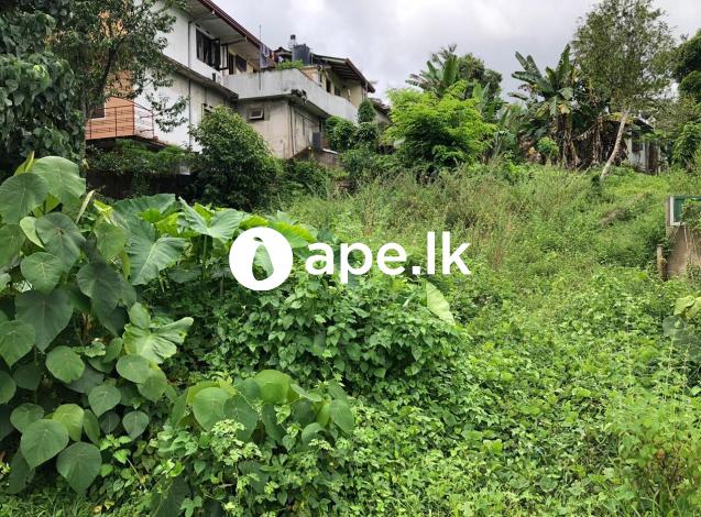 à·„à·œà¶»à¶« à¶±à¶œà¶» à¶¸à¶¯à·Šâ€à¶ºà¶ºà·š (à¶´à·œà·… à¶´à·’à¶§à·”à¶´à·ƒ) à¶‡à¶½à·Šà¶¶à¶»à·Šà¶§à·Š